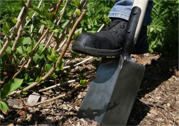 geschmiedeter Grabespaten Holstein für Bäume und Gehölze im Einsatz von Baack Spaten aus Norddeutschland